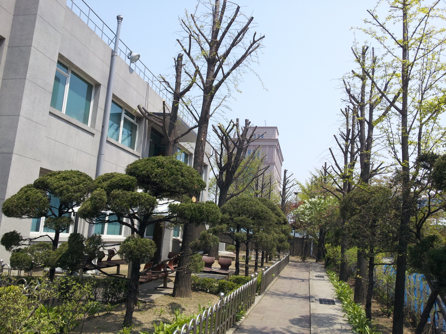1890302043_E7Nf8wgA_b4246ba4b25291b8f5a3cc7cadbb73716a85bd1c.jpg 이미지크게보기