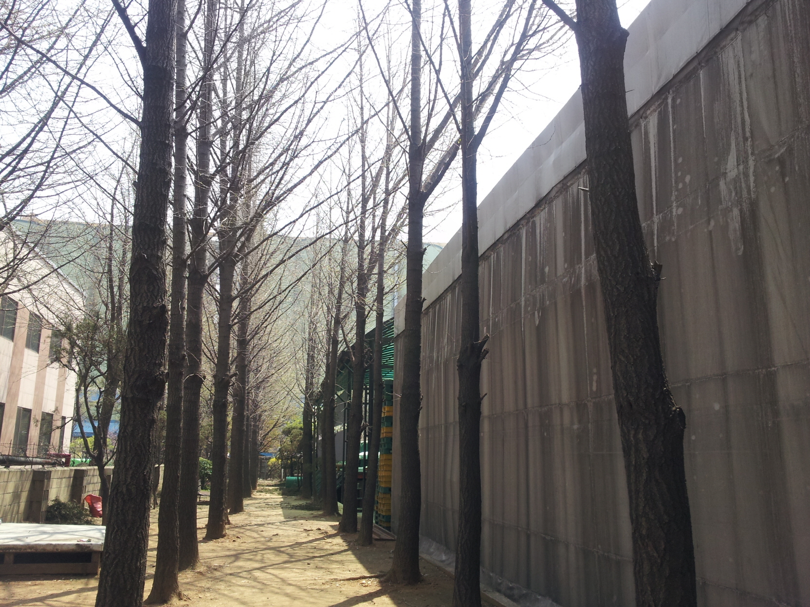 1890302043_KtxhwayF_8288b46e99dec43133c0739a8285f214b1b699a0.jpg 이미지크게보기
