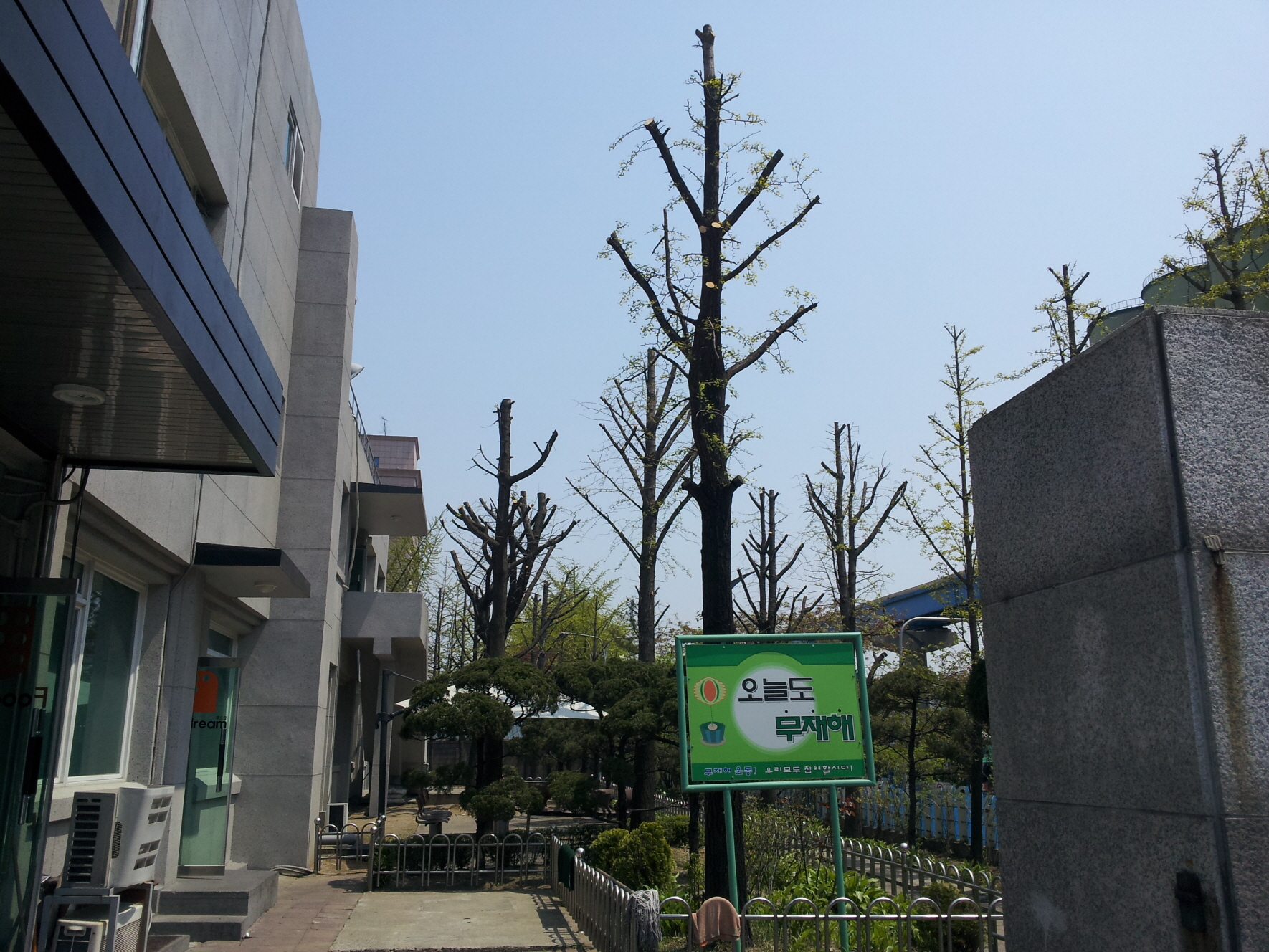 1890302043_hRaJg8sH_83cadcdb2bfed0cfddf56275ca7cec4753dfa3de.jpg 이미지크게보기