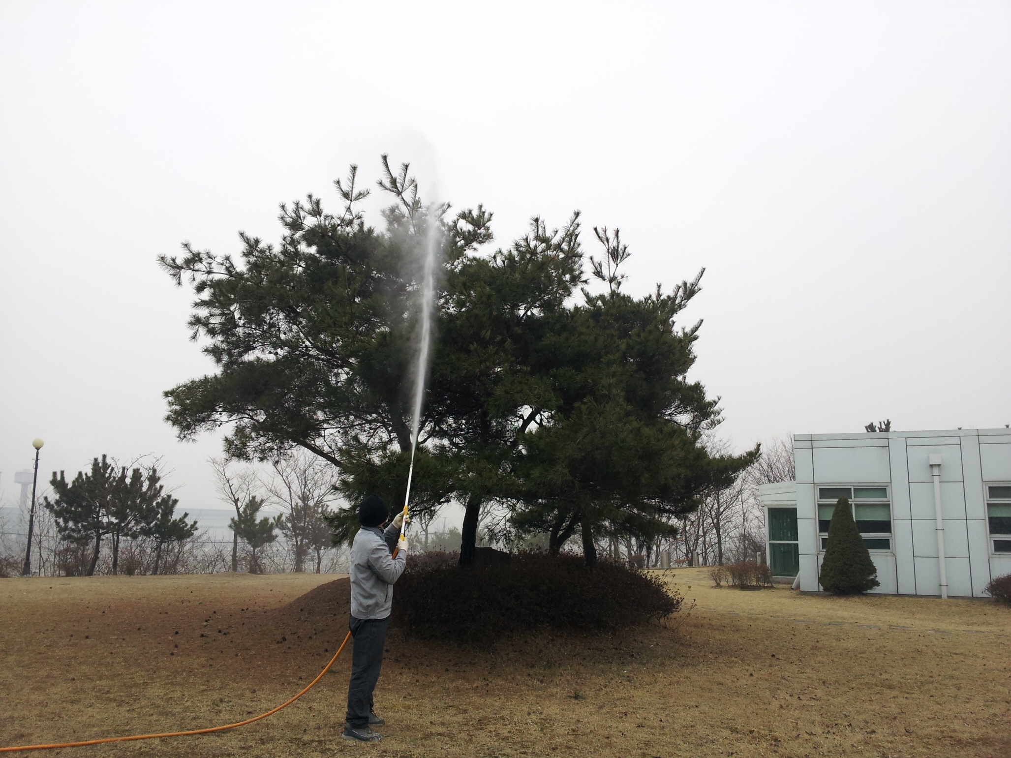 1890302043_bLcgwIio_c3f6360a7bb8b4ced3d88b4e0ceb3af6f0281b4f.jpg 이미지크게보기