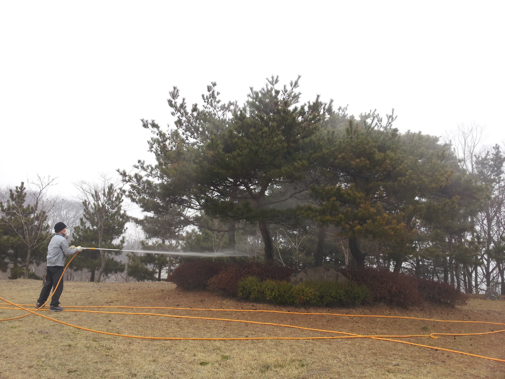 1890302043_vDlI1QgS_5e09990de61b0ac936215aa010358d67a0eebdf4.jpg 이미지크게보기