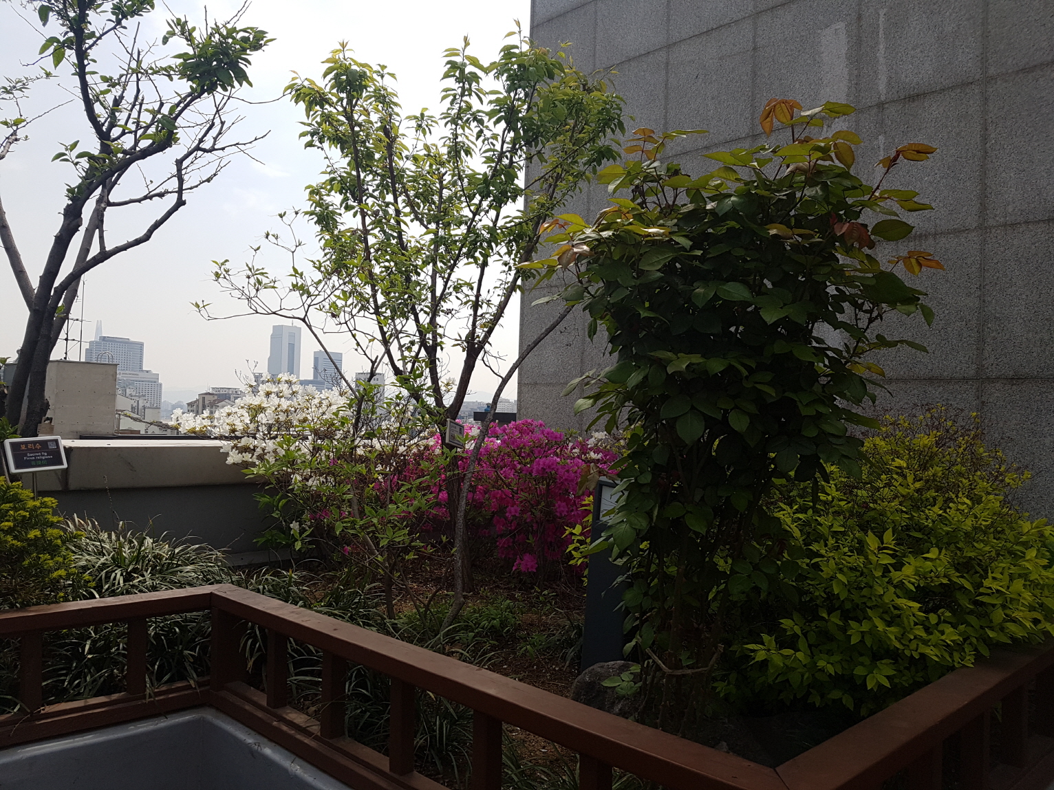 1890302043_AER92Uys_9851eb600a06e8984a412c60dd58584cdc942dcd.jpg 이미지크게보기